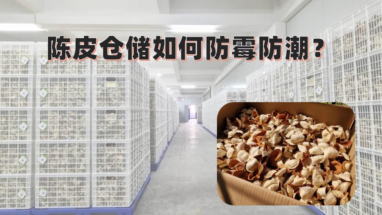 陳皮倉儲長霉發(fā)霉損失大？百適涂無機陶瓷涂料打造“零霉變”防護層