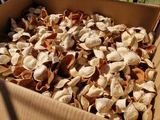 陳皮倉儲環(huán)境展示