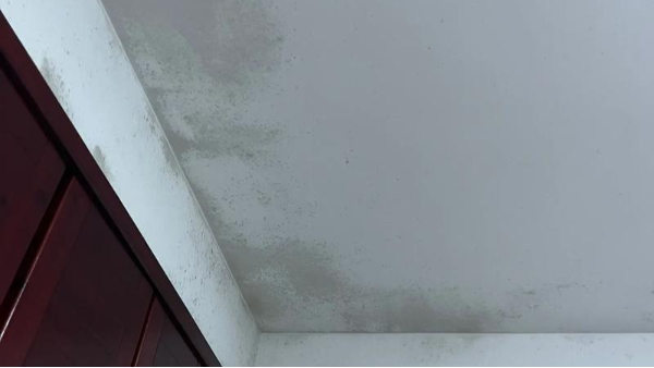 百適涂無機(jī)涂料抗腐蝕與防霉的化學(xué)原理