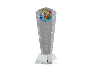 蘇泊爾2024年技術(shù)貢獻(xiàn)獎(jiǎng)