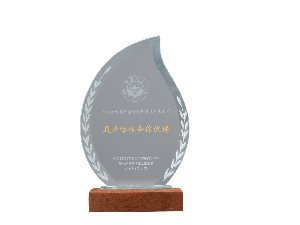 國(guó)際零碳城市鄉(xiāng)村與零碳建筑大會(huì)-通力協(xié)作合作伙伴