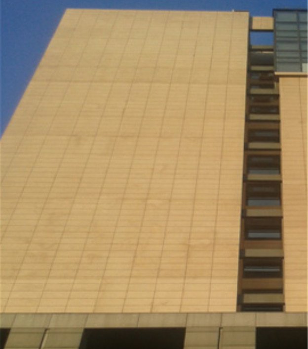 發(fā)花發(fā)白問題示例