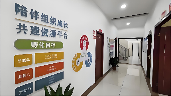 湖南長沙市雨花區(qū)社會組織孵化中心墻面工程