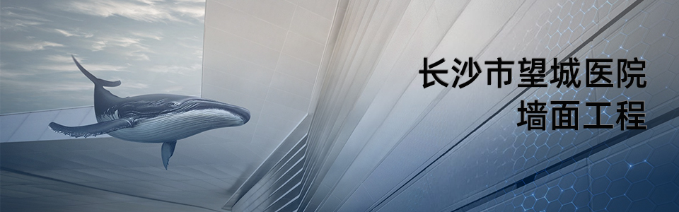 長沙市望城區(qū)人民醫(yī)院建筑外觀