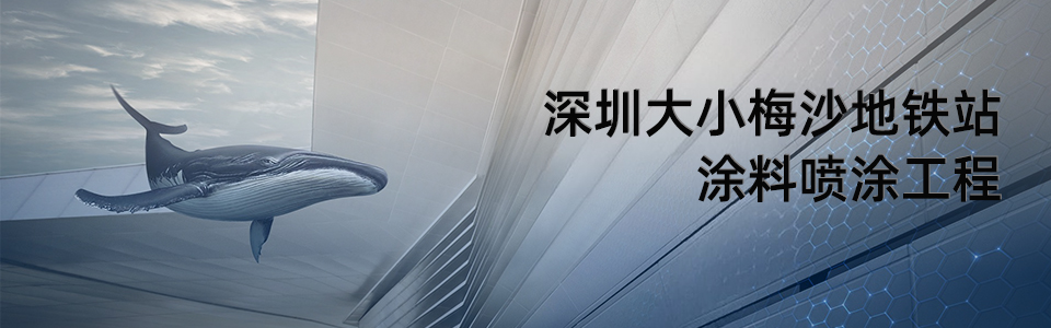 深圳地鐵8號線小梅沙站外觀