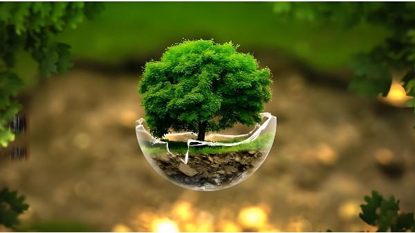 了解無機(jī)涂料與有機(jī)涂料的11大特性