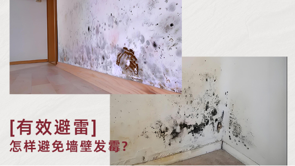 無(wú)機(jī)涂料真能防霉嗎？防霉原理是什么？百適涂無(wú)機(jī)涂料為何值得推薦？