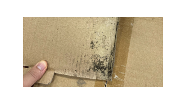 裝修技巧！紙箱倉庫如何防潮防霉，百適涂無機涂料支招！