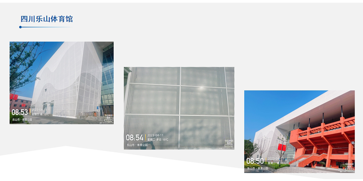 樂山體育館幕墻裝飾項目工程案例