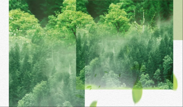 無機(jī)涂料成分示意圖