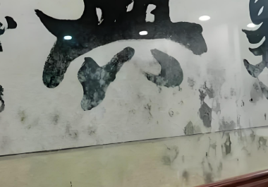 百適涂無機(jī)涂料防霉防潮效果展示